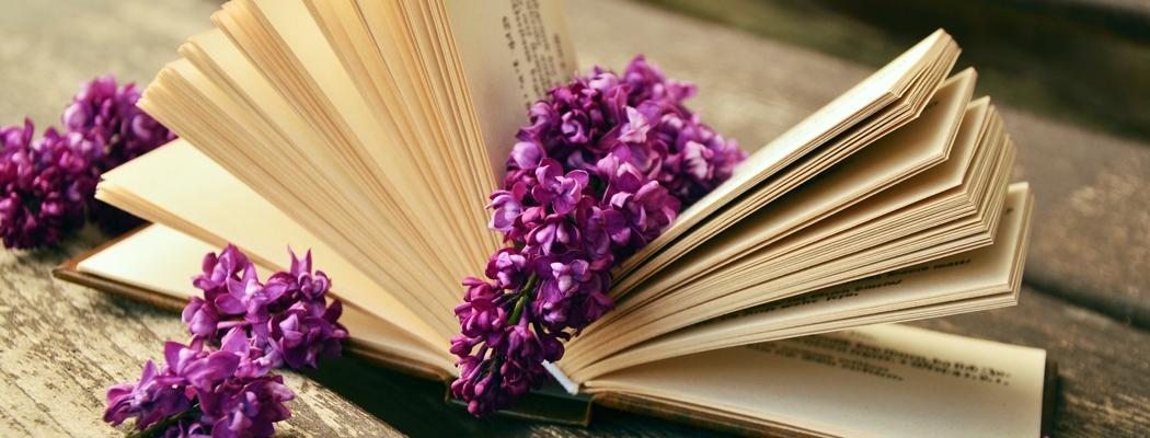 congerdesign-a-book-759873.jpg